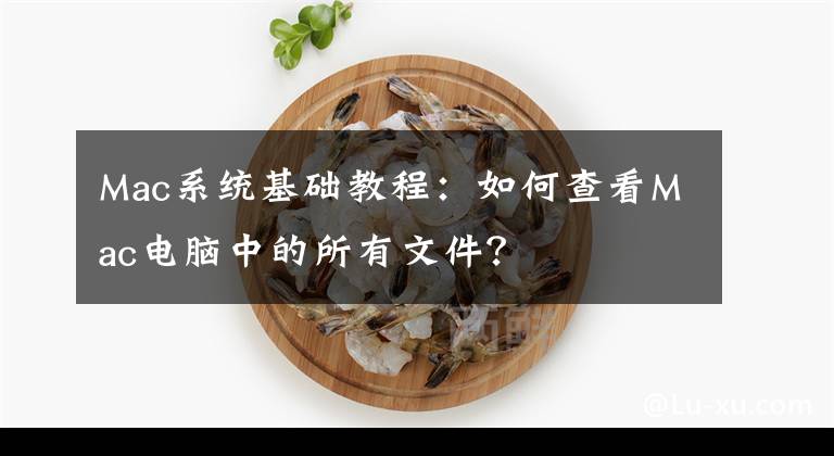 Mac系统基础教程：如何查看Mac电脑中的所有文件？