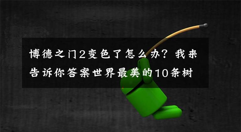 博德之门2变色了怎么办？我来告诉你答案世界最美的10条树隧道，美国有4条，中国有一条