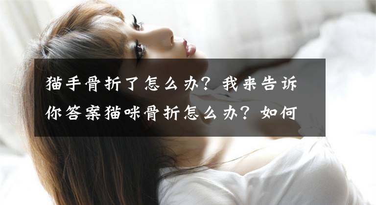 猫手骨折了怎么办？我来告诉你答案猫咪骨折怎么办？如何急救？
