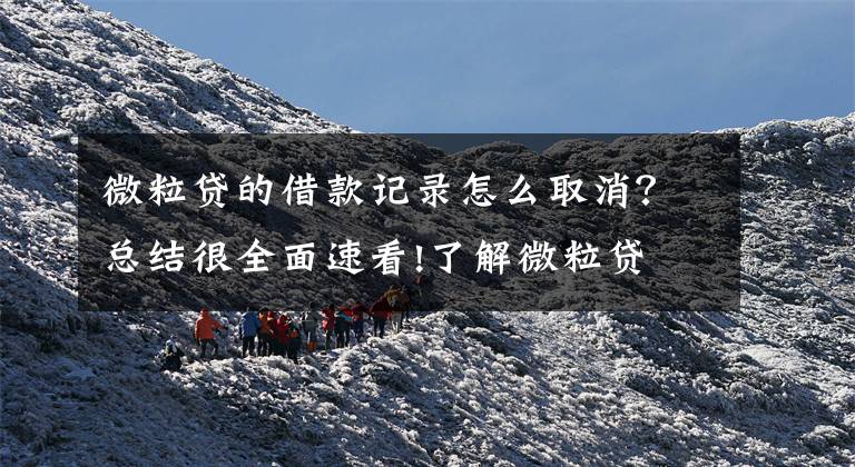 微粒贷的借款记录怎么取消？总结很全面速看!了解微粒贷 提高警惕防骗
