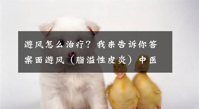 游风怎么治疗？我来告诉你答案面游风（脂溢性皮炎）中医诊疗方案