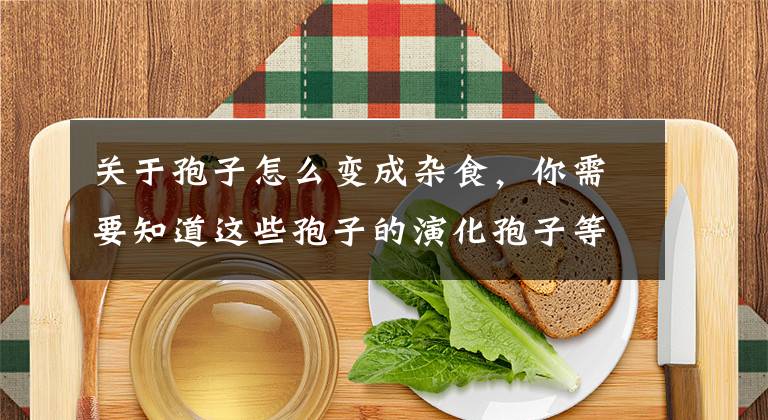 关于孢子怎么变成杂食，你需要知道这些孢子的演化孢子等级介绍 孢子升级顺序