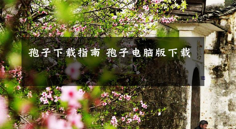 孢子下载指南 孢子电脑版下载