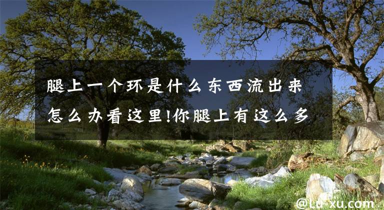 腿上一个环是什么东西流出来怎么办看这里!你腿上有这么多关键地方 你知道吗？