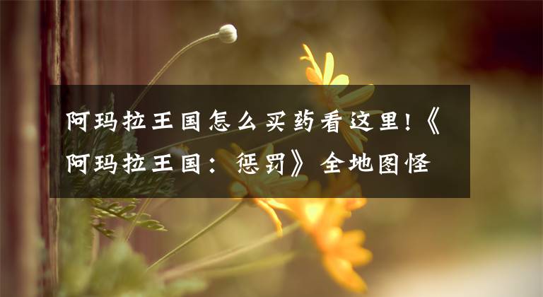 阿玛拉王国怎么买药看这里!《阿玛拉王国：惩罚》全地图怪物等级一览
