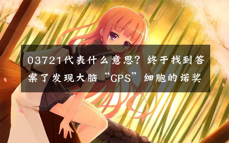 03721代表什么意思？终于找到答案了发现大脑“GPS”细胞的诺奖得主：什么是生活的最优解？