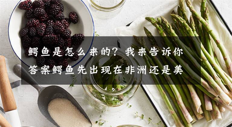 鳄鱼是怎么来的？我来告诉你答案鳄鱼先出现在非洲还是美洲？英媒：这个古老的头骨说明一切