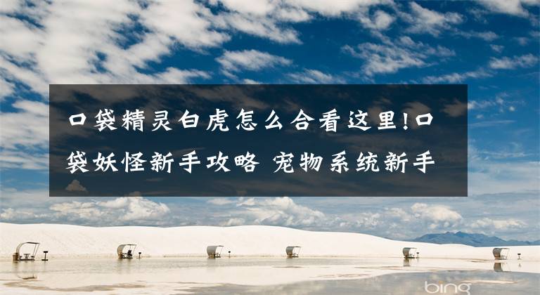 口袋精灵白虎怎么合看这里!口袋妖怪新手攻略 宠物系统新手详细解析