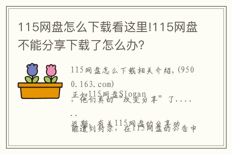 115网盘怎么下载看这里!115网盘不能分享下载了怎么办？