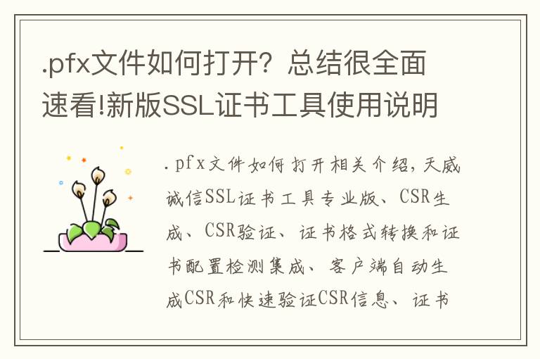 .pfx文件如何打开？总结很全面速看!新版SSL证书工具使用说明