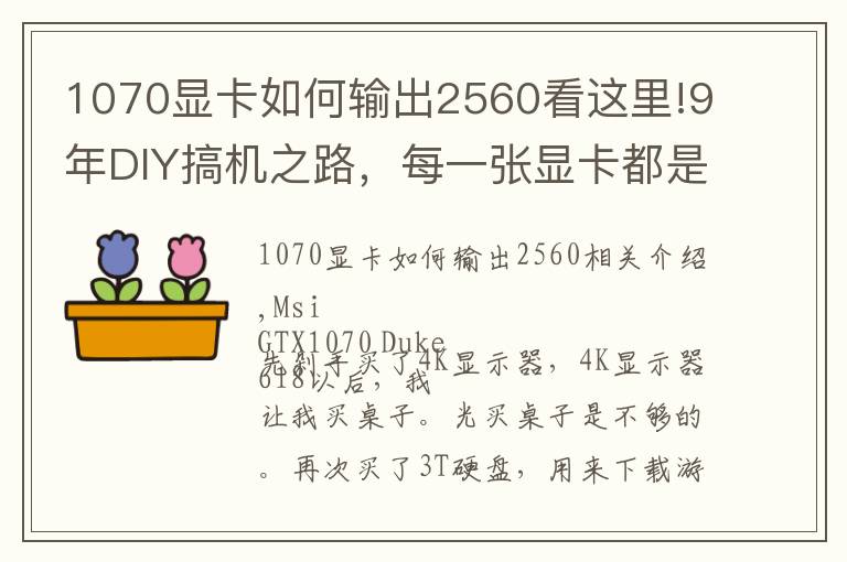 1070显卡如何输出2560看这里!9年DIY搞机之路，每一张显卡都是一段故事！