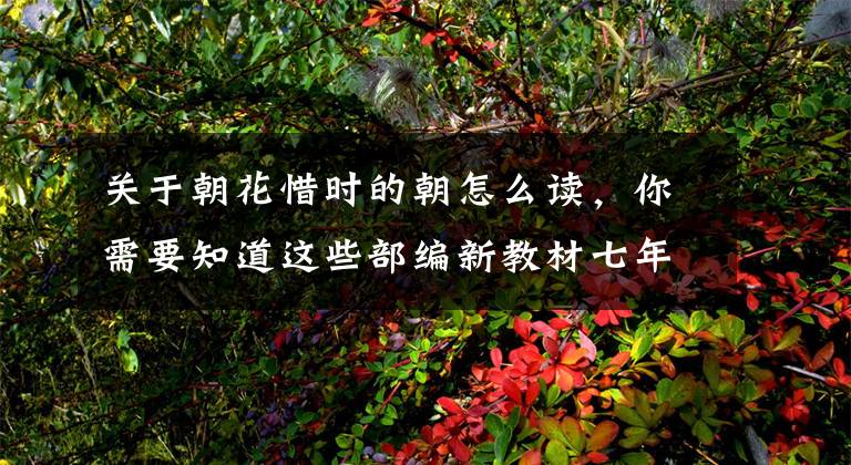 关于朝花惜时的朝怎么读，你需要知道这些部编新教材七年级上册《朝花夕拾》阅读指导