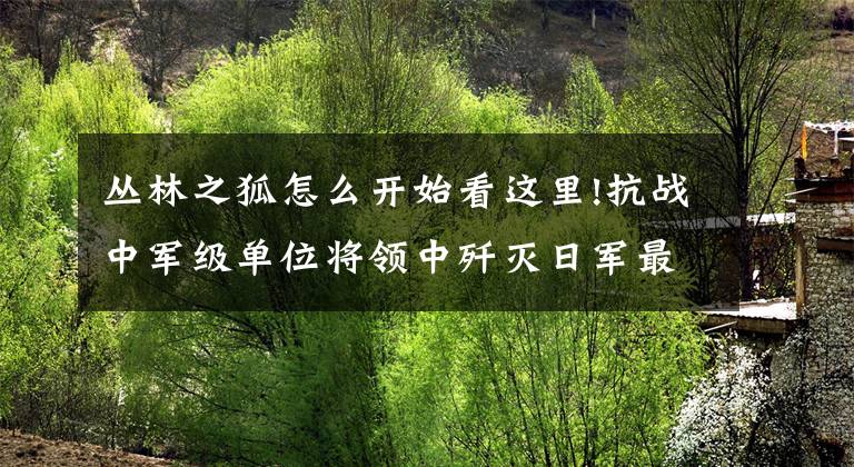丛林之狐怎么开始看这里!抗战中军级单位将领中歼灭日军最多的将领，有“丛林之狐”的美称