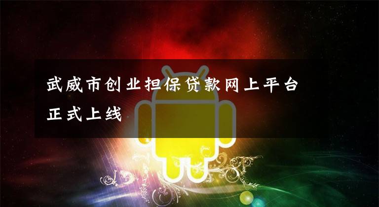 武威市创业担保贷款网上平台正式上线