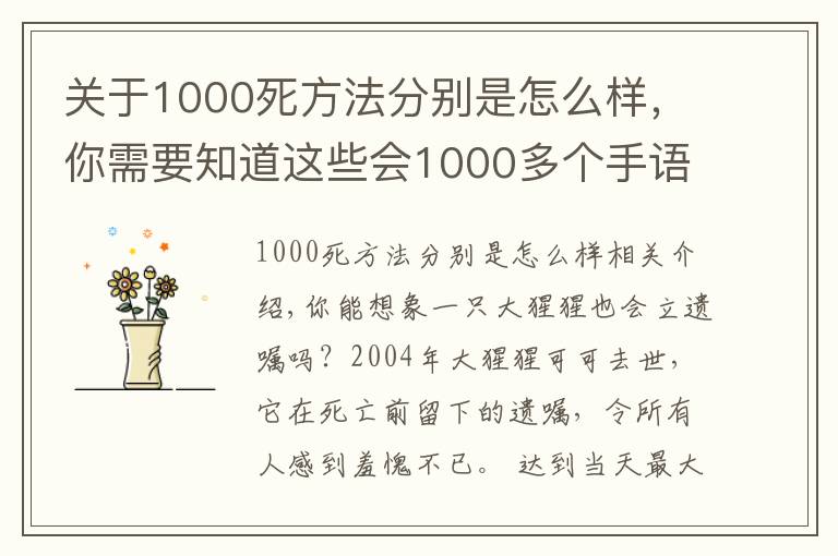 关于1000死方法分别是怎么样，你需要知道这些会1000多个手语能与人类交谈，这头大猩猩的死亡遗嘱，令人类羞愧