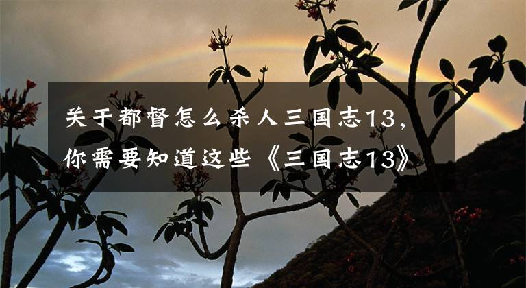 关于都督怎么杀人三国志13，你需要知道这些《三国志13》攻城、操作等方面玩法技巧解析攻略