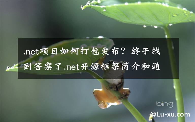 .net项目如何打包发布？终于找到答案了.net开源框架简介和通用技术选型建议