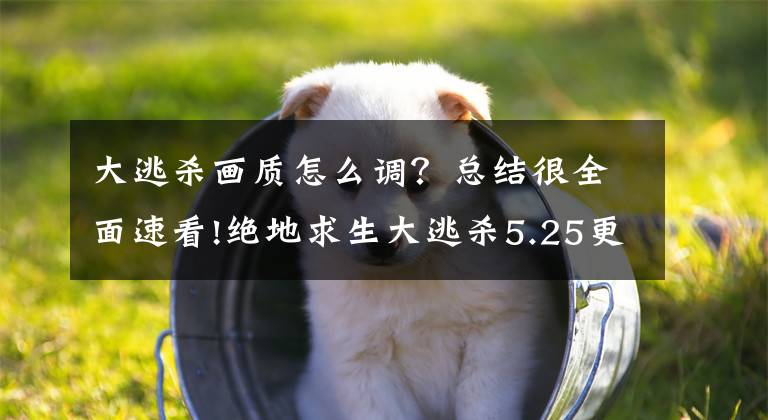 大逃杀画质怎么调？总结很全面速看!绝地求生大逃杀5.25更新后画面优化设置教程