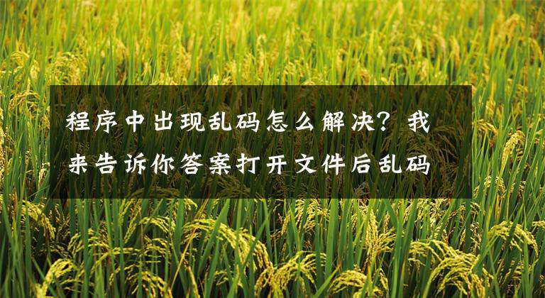 程序中出现乱码怎么解决？我来告诉你答案打开文件后乱码的原因及解决方法和预防措施