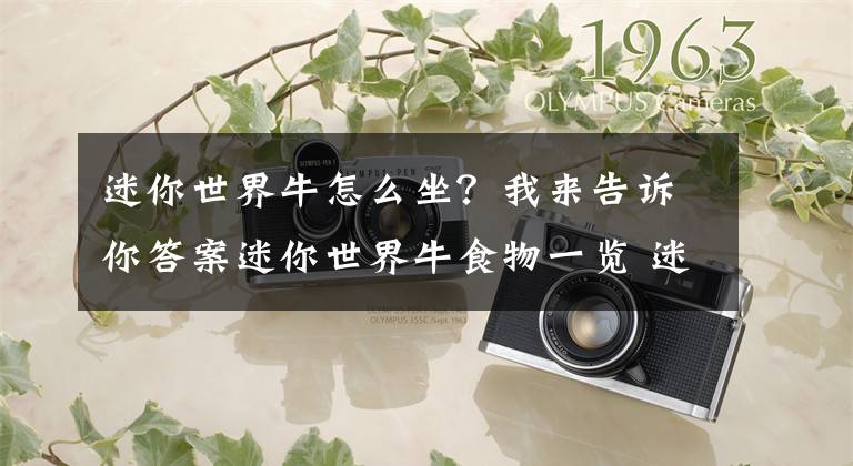 迷你世界牛怎么坐？我来告诉你答案迷你世界牛食物一览 迷你世界牛吃什么