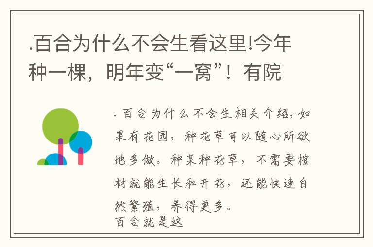 .百合为什么不会生看这里!今年种一棵，明年变“一窝”！有院子就种百合吧，花开一季也很值