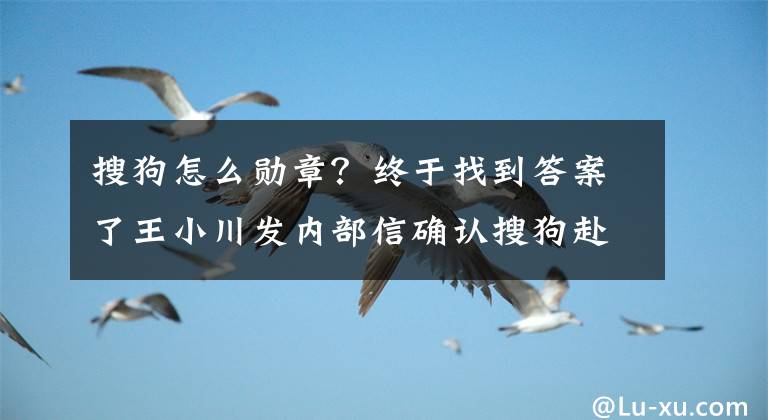 搜狗怎么勋章？终于找到答案了王小川发内部信确认搜狗赴美IPO