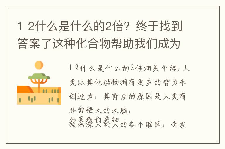 1 2什么是什么的2倍？终于找到答案了这种化合物帮助我们成为最聪明的动物