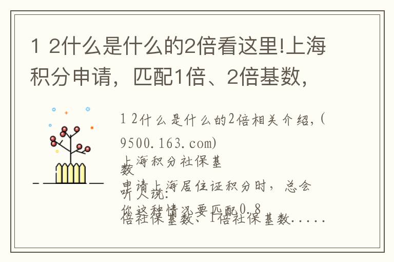 1 2什么是什么的2倍看这里!上海积分申请，匹配1倍、2倍基数，到底是多少工资？