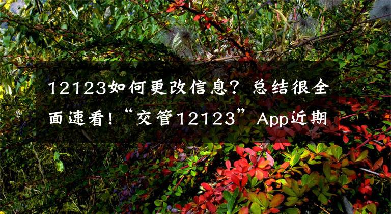 12123如何更改信息？总结很全面速看!“交管12123”App近期新升级 用户注册及变更信息更加人性化