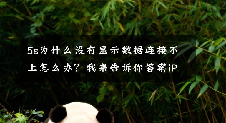 5s为什么没有显示数据连接不上怎么办？我来告诉你答案iPhone5s升级iOS7后信号异常解决方法
