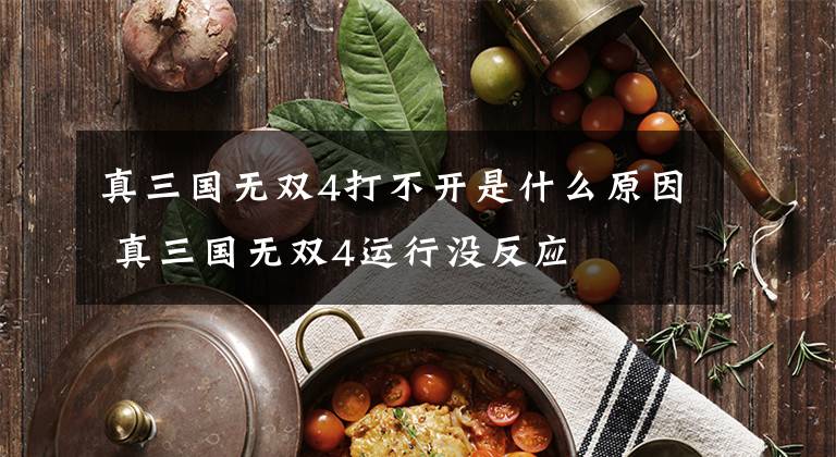 真三国无双4打不开是什么原因 真三国无双4运行没反应