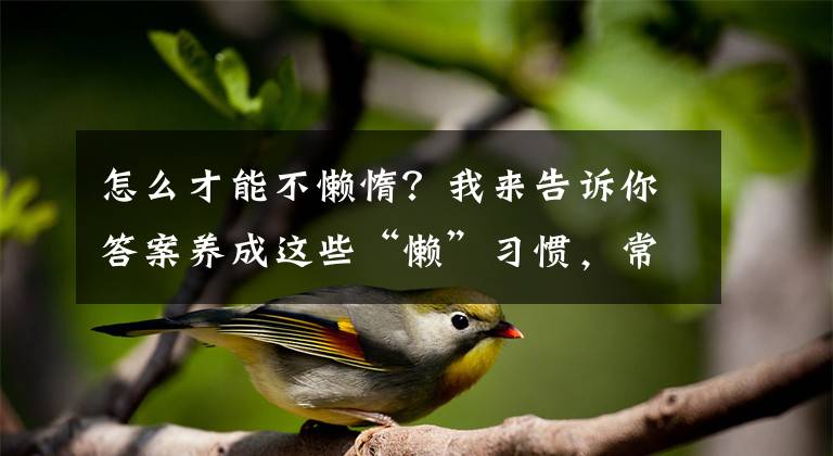 怎么才能不懒惰？我来告诉你答案养成这些“懒”习惯，常做这些“懒”动作，健康又快乐