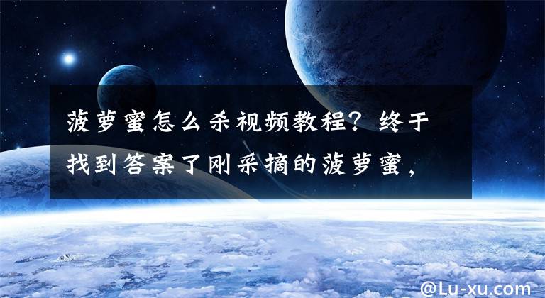 菠萝蜜怎么杀视频教程？终于找到答案了刚采摘的菠萝蜜，看看印度老奶奶怎么处理的，这样做好吃吗？