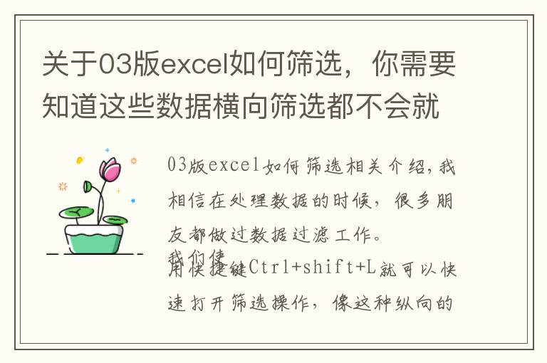 关于03版excel如何筛选，你需要知道这些数据横向筛选都不会就out了，学会Ctrl+0快捷键两秒搞定