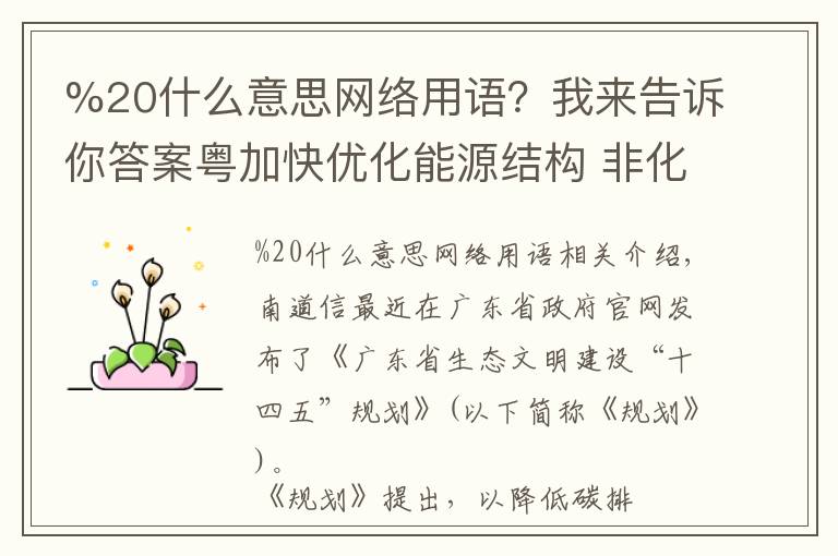 %20什么意思网络用语？我来告诉你答案粤加快优化能源结构 非化石能源占一次能源消费比重达29%