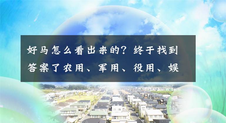 好马怎么看出来的？终于找到答案了农用、军用、役用、娱乐用，马的用途这么多，怎么样算好马？