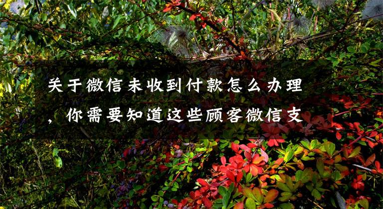 关于微信未收到付款怎么办理，你需要知道这些顾客微信支付却没收到钱，监控调出“老熟人”