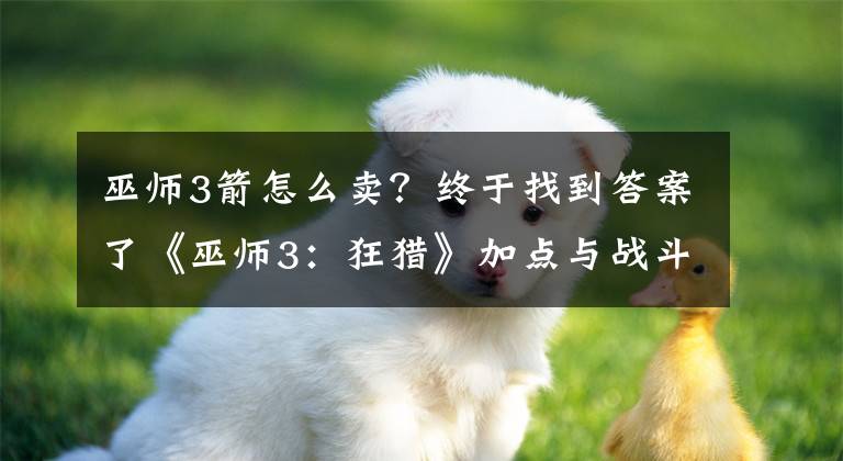 巫师3箭怎么卖？终于找到答案了《巫师3：狂猎》加点与战斗技巧总结 轻甲+中甲+重甲