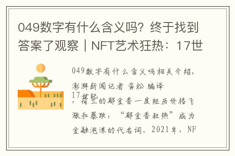 049数字有什么含义吗？终于找到答案了观察｜NFT艺术狂热：17世纪“郁金香狂热”重现？