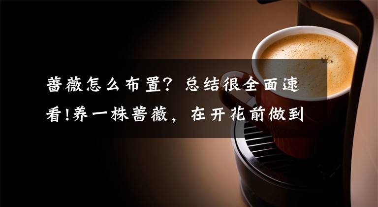 蔷薇怎么布置？总结很全面速看!养一株蔷薇，在开花前做到这一点，花枝自动爬满墙！