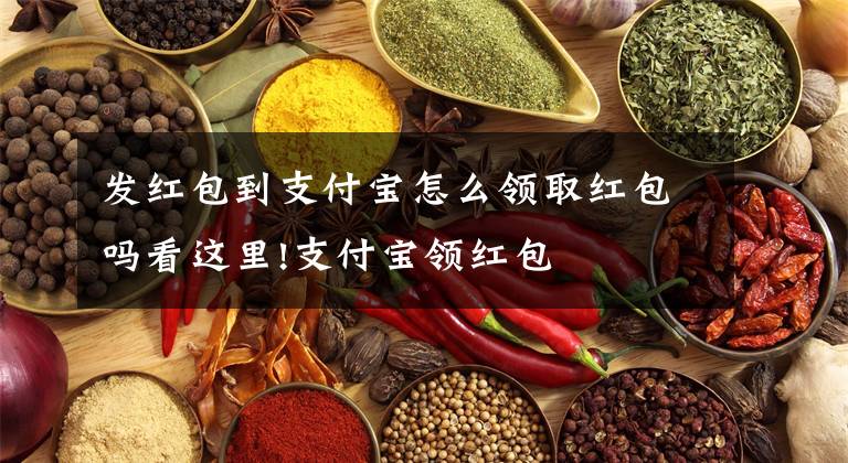 发红包到支付宝怎么领取红包吗看这里!支付宝领红包