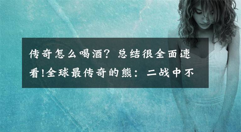 传奇怎么喝酒？总结很全面速看!全球最传奇的熊：二战中不仅会抽烟喝酒，还会搬炮弹扔手雷