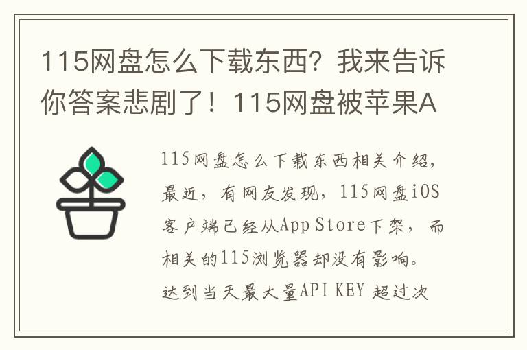 115网盘怎么下载东西？我来告诉你答案悲剧了！115网盘被苹果App Store下架