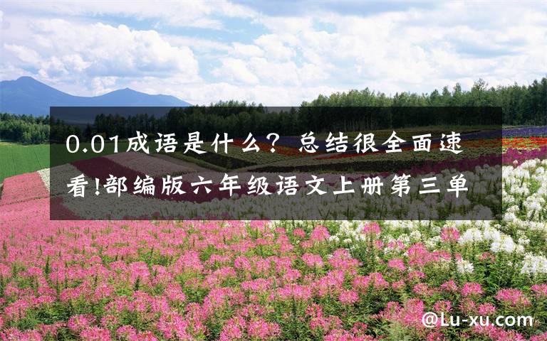 0.01成语是什么？总结很全面速看!部编版六年级语文上册第三单元测验卷（含答案）