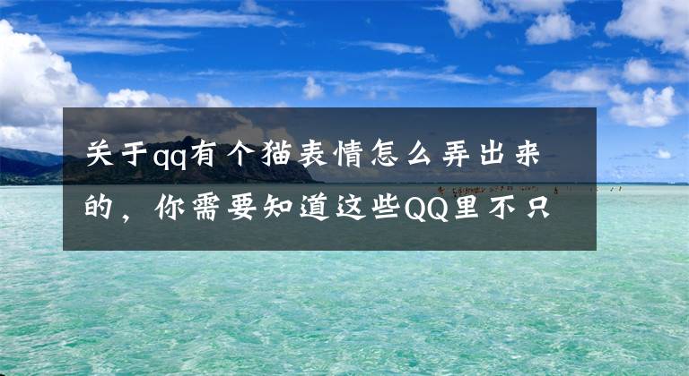 关于qq有个猫表情怎么弄出来的，你需要知道这些QQ里不只有00后