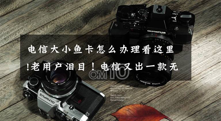 电信大小鱼卡怎么办理看这里!老用户泪目！电信又出一款无敌套餐，用它上网看片都免流量费