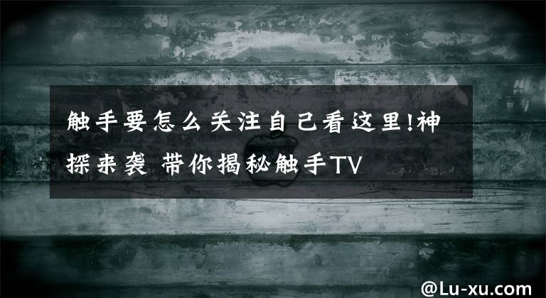 触手要怎么关注自己看这里!神探来袭 带你揭秘触手TV