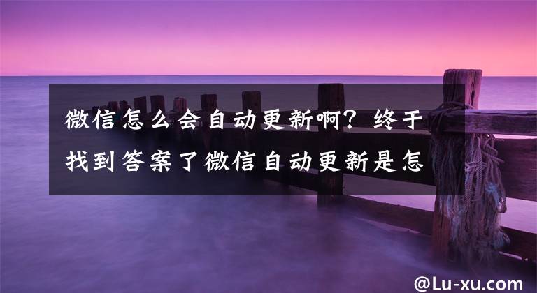 微信怎么会自动更新啊？终于找到答案了微信自动更新是怎么回事 微信不自动更新设置程序流程