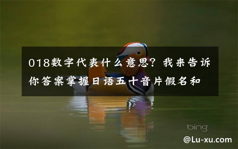 018数字代表什么意思？我来告诉你答案掌握日语五十音片假名和平假名的作用，轻松学会五十音