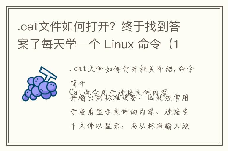 .cat文件如何打开？终于找到答案了每天学一个 Linux 命令（14）：cat